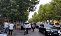 柘城沙河最新事件爆料,最新爆料揭示惊人真相